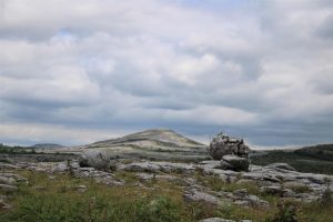 Natuurlandschap